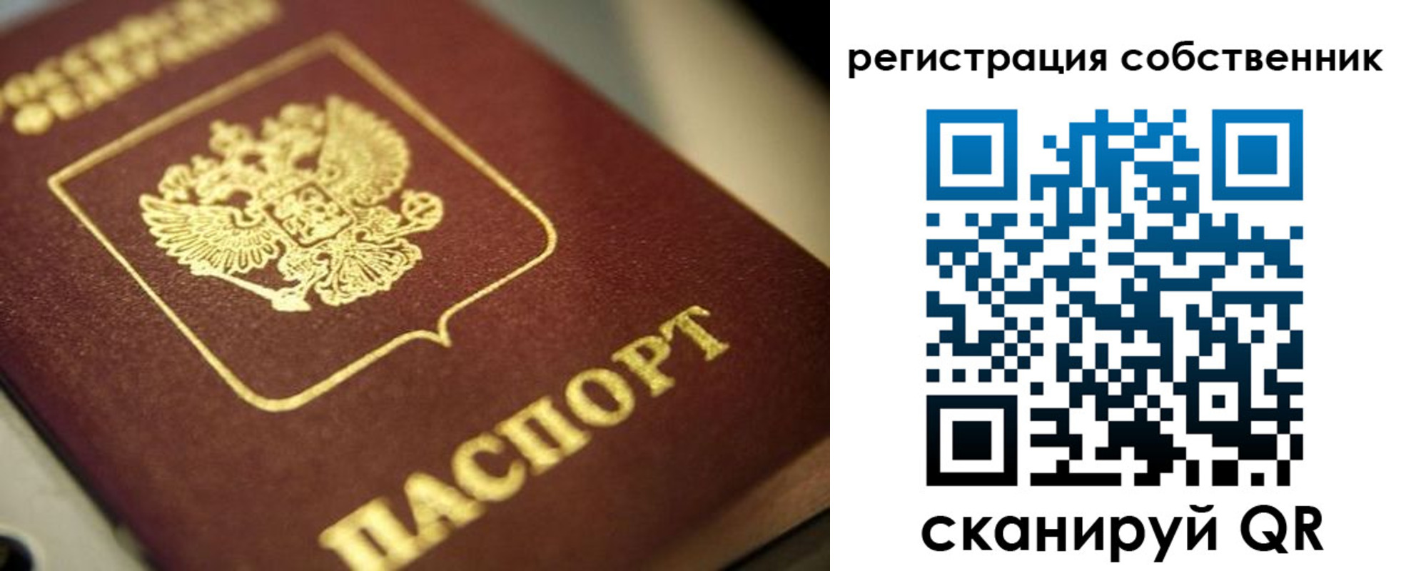 прописка в Муроме